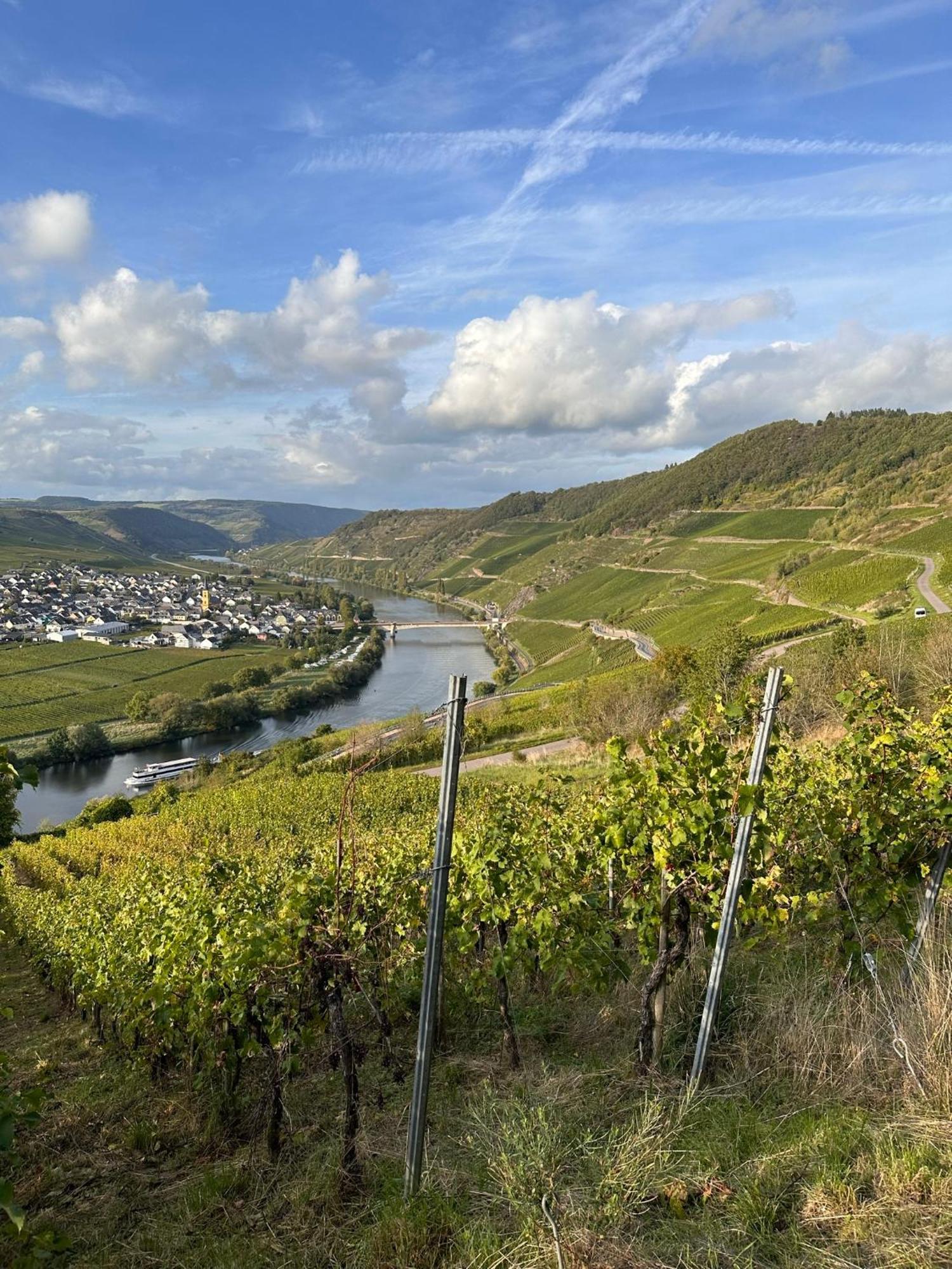 Hotel Krone Riesling Trittenheim Exterior photo
